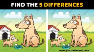 Find the 5 Differences- Difficult Hindi paheli collection for everyone