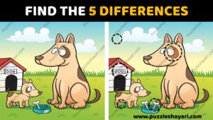 Find the 5 Differences Answer- Difficult Hindi paheli collection for everyone