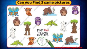 Can you find 2 same picture- बुझो तो जानें 