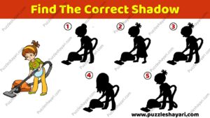 Find the correct Shadow - www.puzzleshayari.com