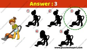 Find the correct Shadow Answer- www.puzzleshayari.com