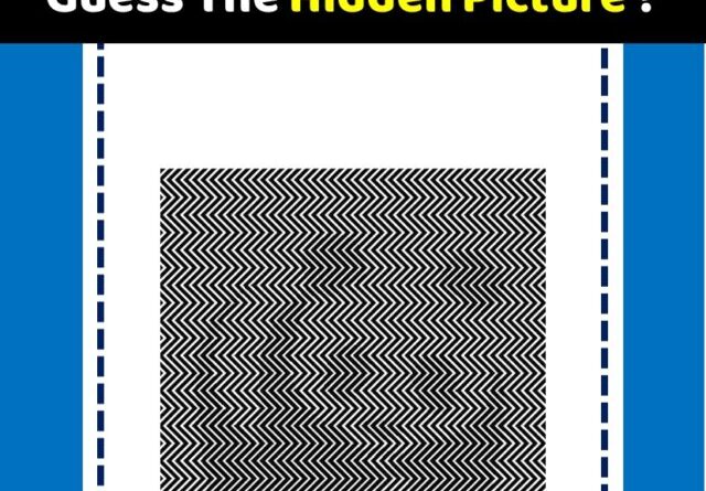 Guess The Hidden Picture ?